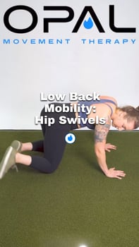 low back pain: hip swivels