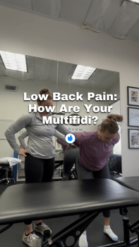 low back pain how are your multifidi?