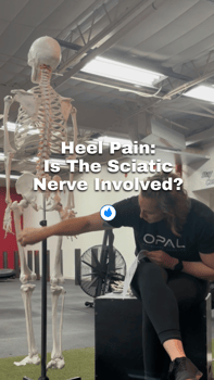 heel pain: is the sciatic nerve involved?