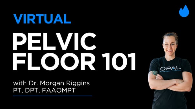 Pelvic Floor 101 Webinar Recording