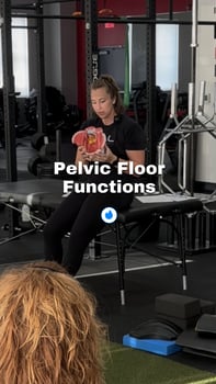 Pelvic Floor Functions