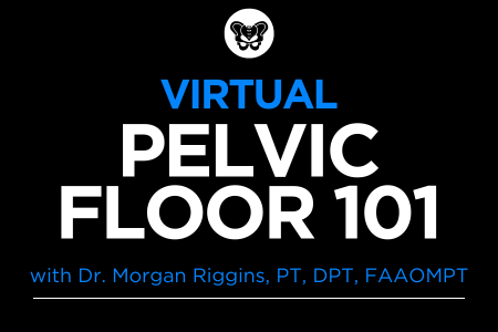 Virtual Pelvic Floor 101 Webinar with Dr. Morgan